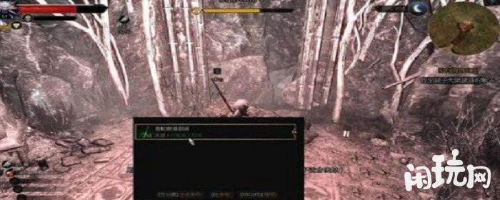 巫师3石之心镜子大师的谜语有银剑奖励