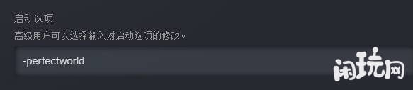 启动项输入dota国服代码