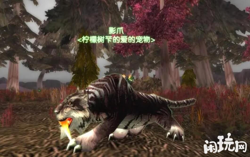 魔兽世界猎人宝宝战斗力强
