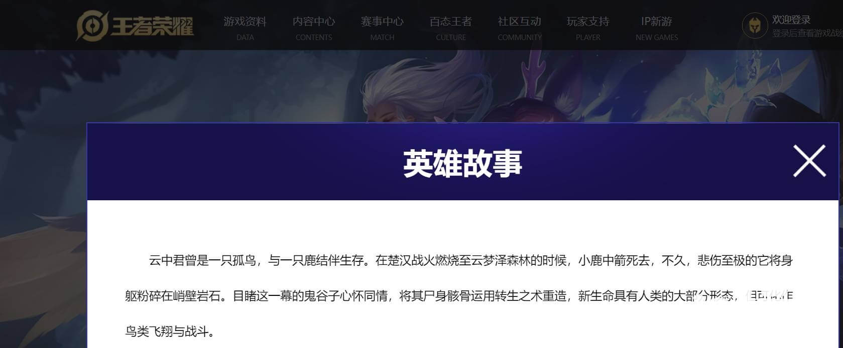王者云中君英雄故事简介