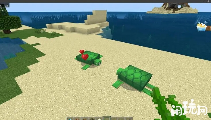 我的世界海龟
