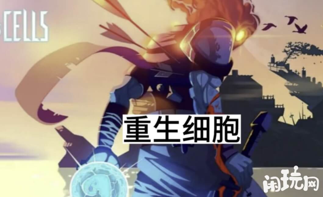 重生细胞地图更新后发生变化