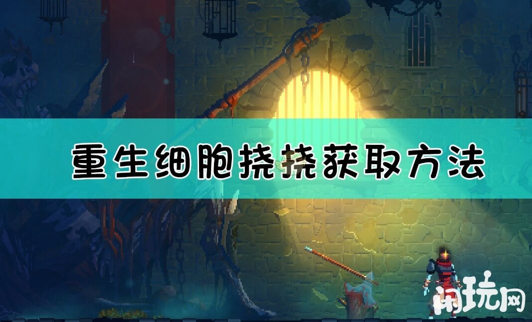 重生细胞挠挠