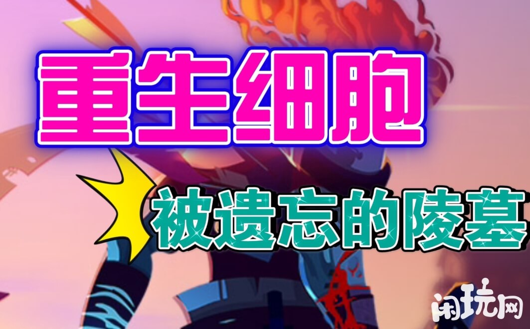 重生细胞被遗忘陵墓