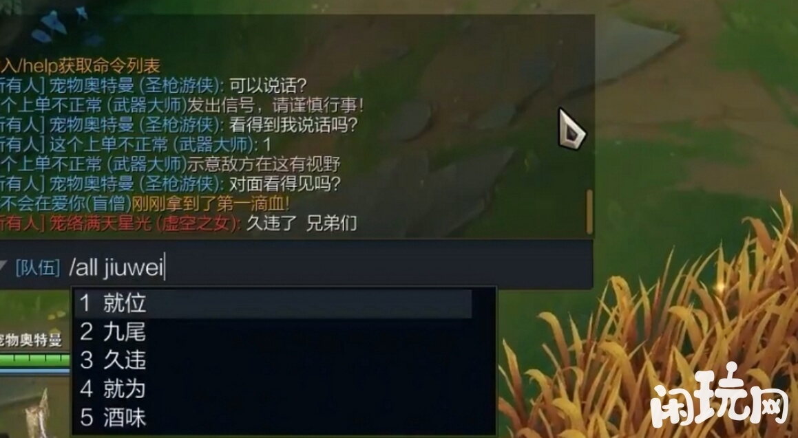 英雄联盟网络问题导致聊天不显示