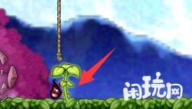 双击种子