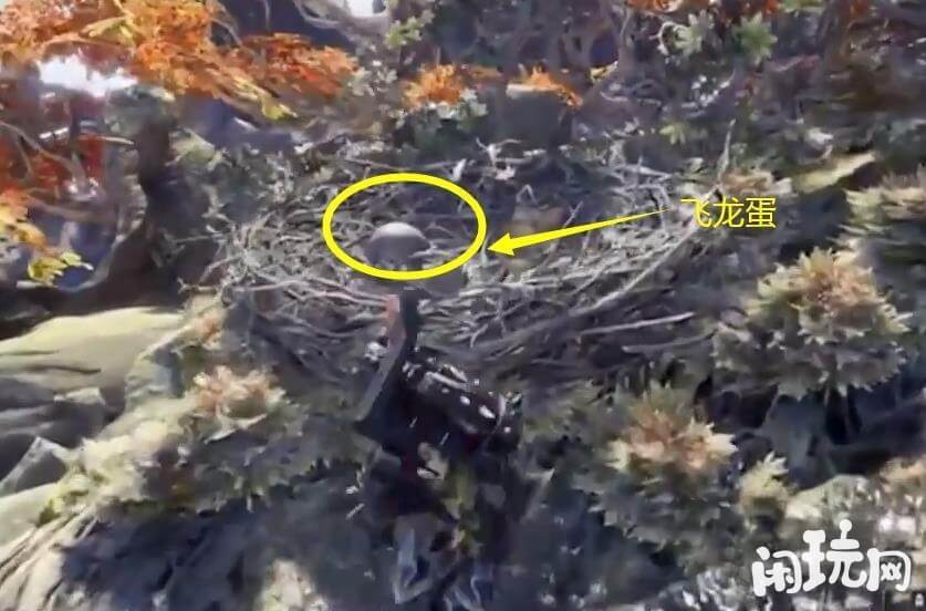 怪物猎人偷蛋要穿隐身衣